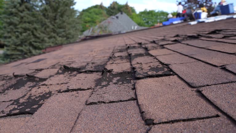 Best Roofing for New Construction  in Fair Oaks Ranch, TX