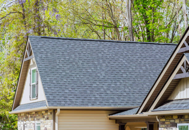 Best Roof Moss and Algae Removal  in Fair Oaks Ranch, TX